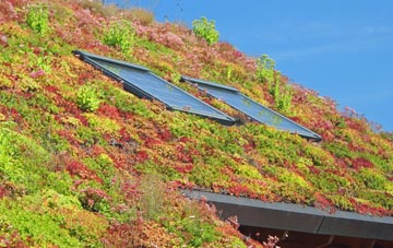 East Whitburn living roof systems
